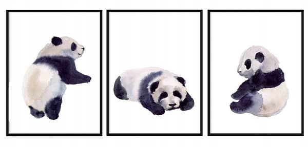 Plakat - Panda / Sæt med 3