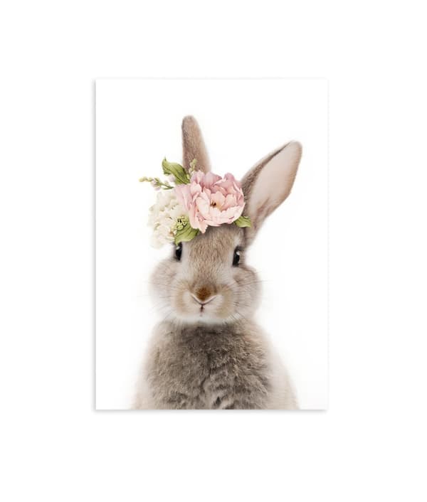 Plakat - Kanin med blomster / Forside
