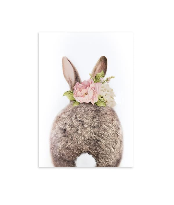 Plakat - Kanin med blomster / Bagside
