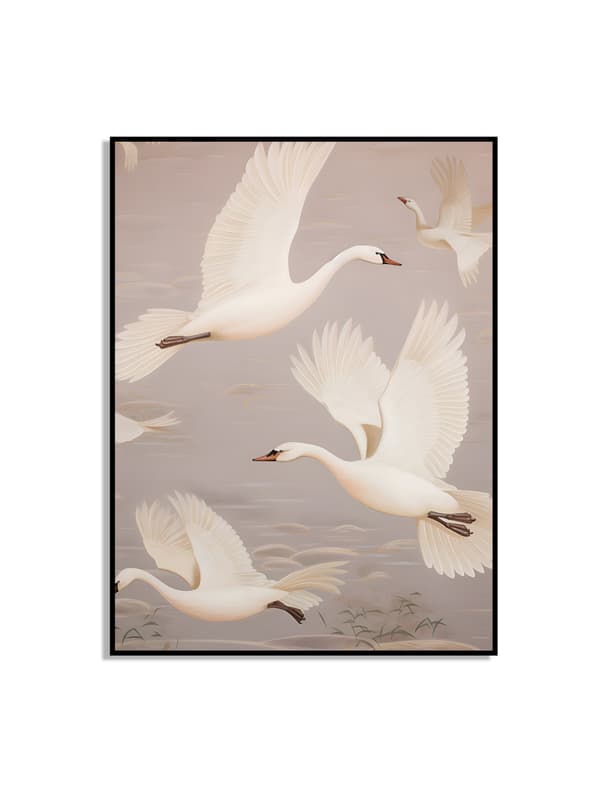 Plakat – Svane / Flyvende