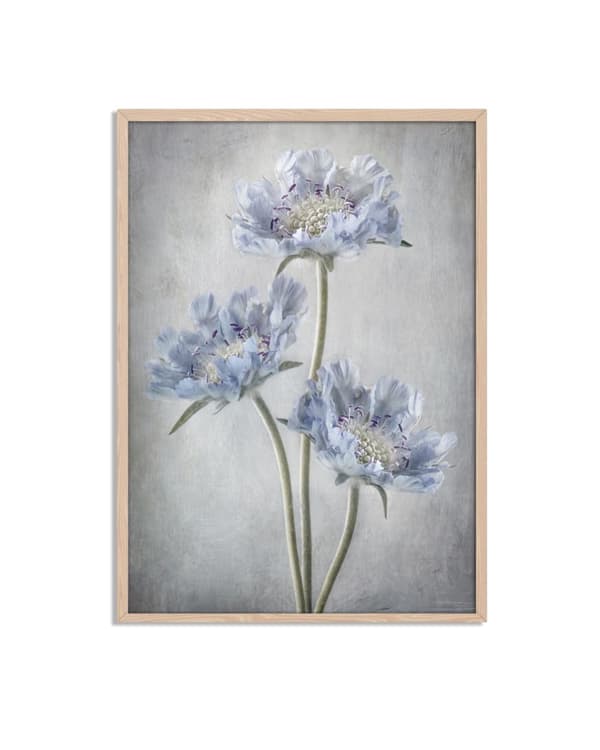 Blå Blomster Plakat