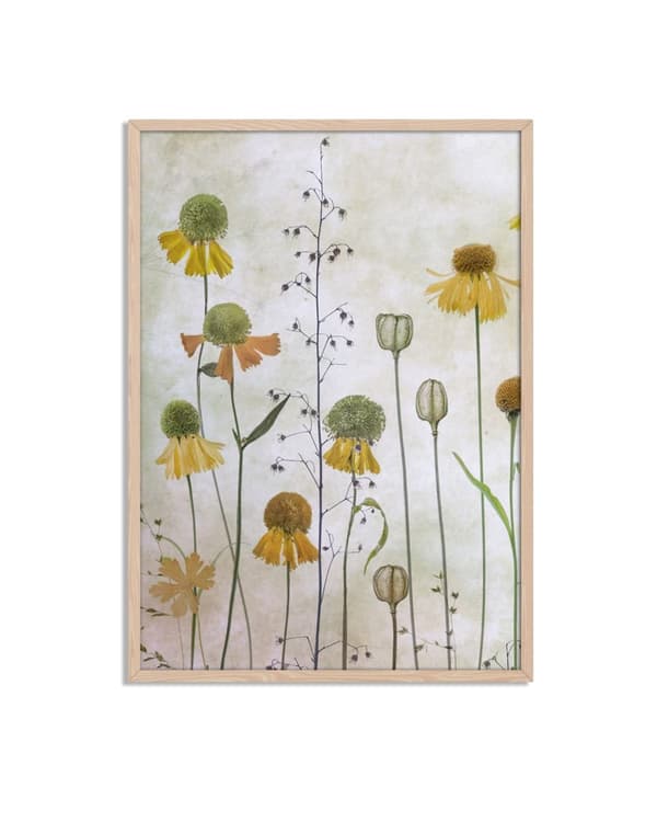 Gul Blomster Botanisk Plakat
