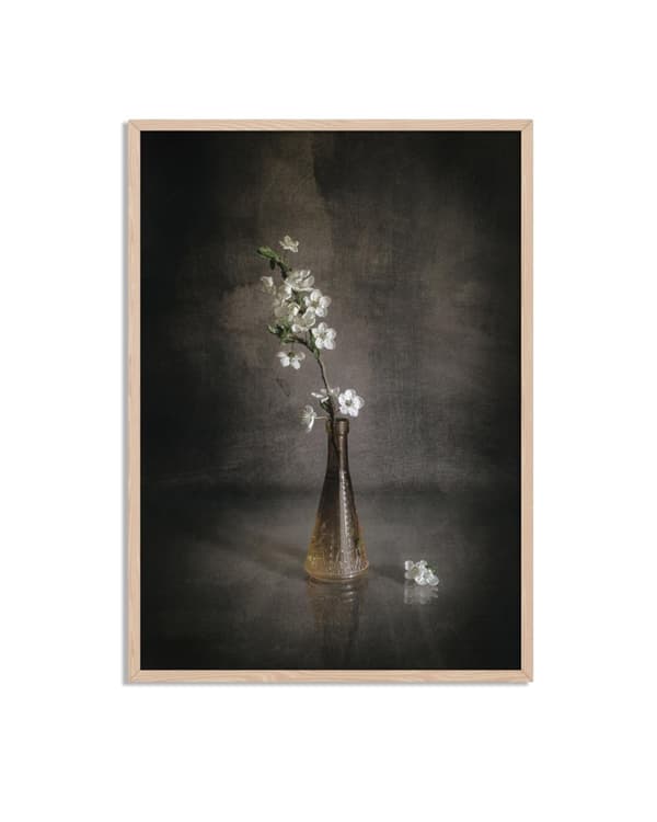 Blomstrende Ro Plakat