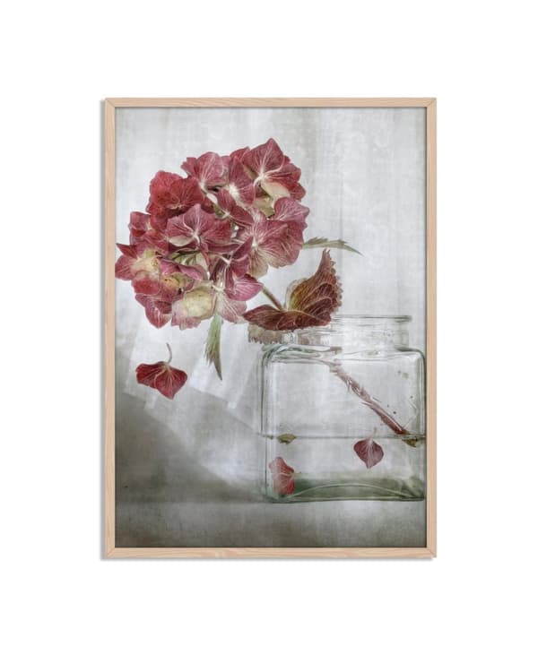 Hortensia i Vase Plakat