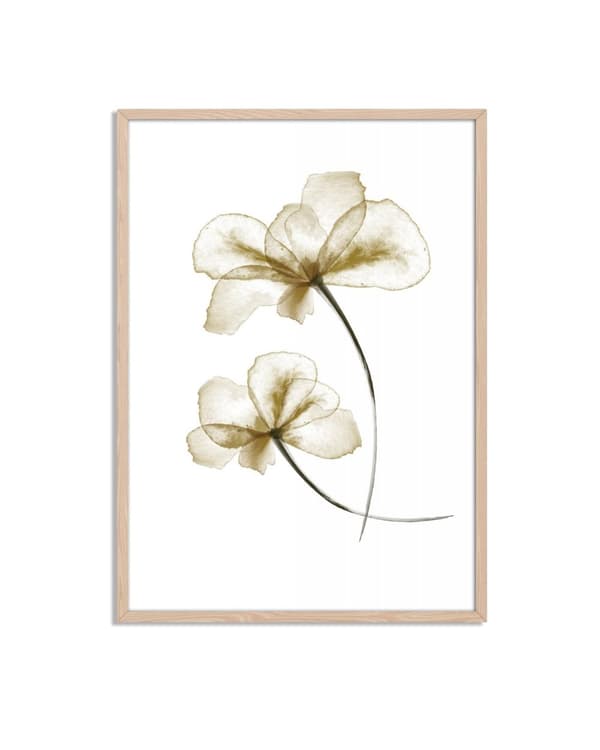 Delikat Blomsterkunst Plakat