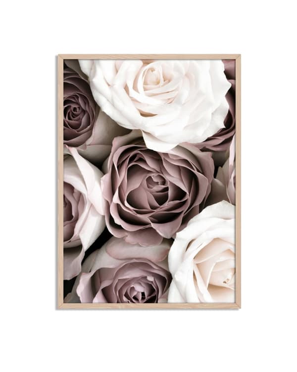 Elegant Roser Plakat