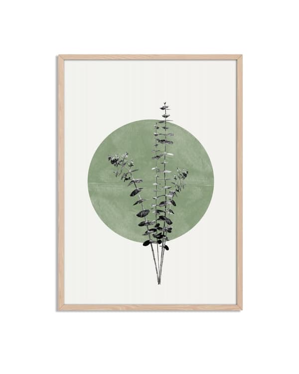 Botanisk Grøn Cirkulær Plakat
