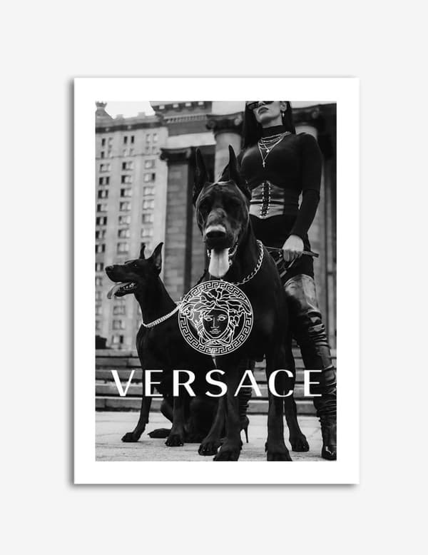 Versace Hunde Plakat