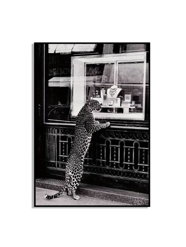 Leopard Vinduesshopping Plakat