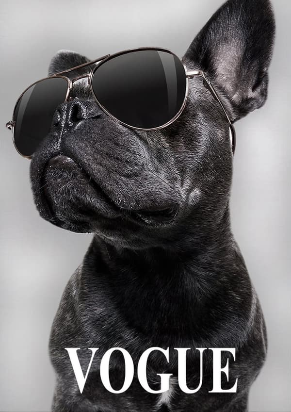 Trendy Hund Plakat