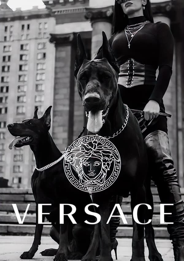 Versace Modehundsaffisch