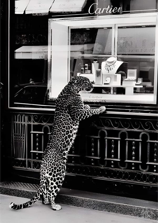 Leopard Cartier Plakat