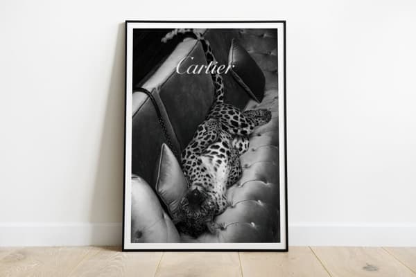 Poster - Leopard på Soffa