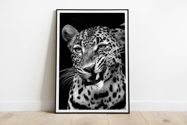 Plakat - Sort og Hvid Leopard