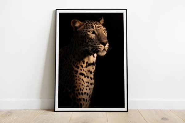 Plakat - Majestætisk Leopard