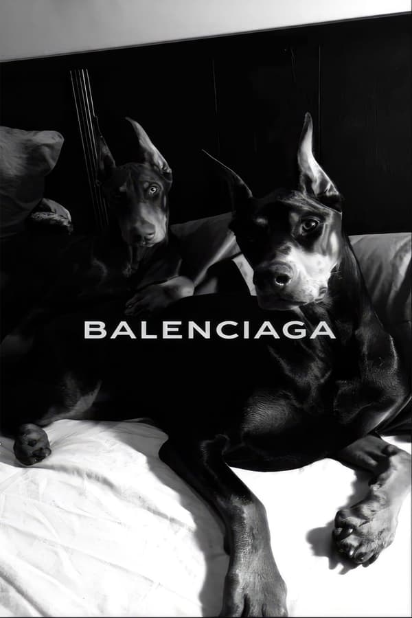 Plakat - Balenciaga Dobermans
