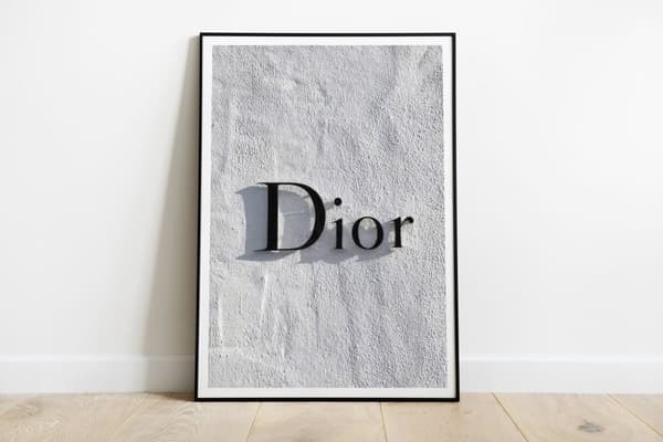 Juliste - Dior Seinätaide