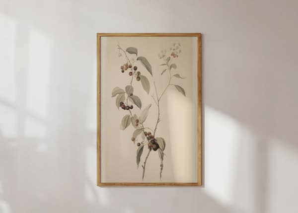 Plakat - Botaniske illustrasjoner