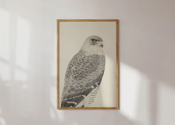 Plakat - Falkportrett