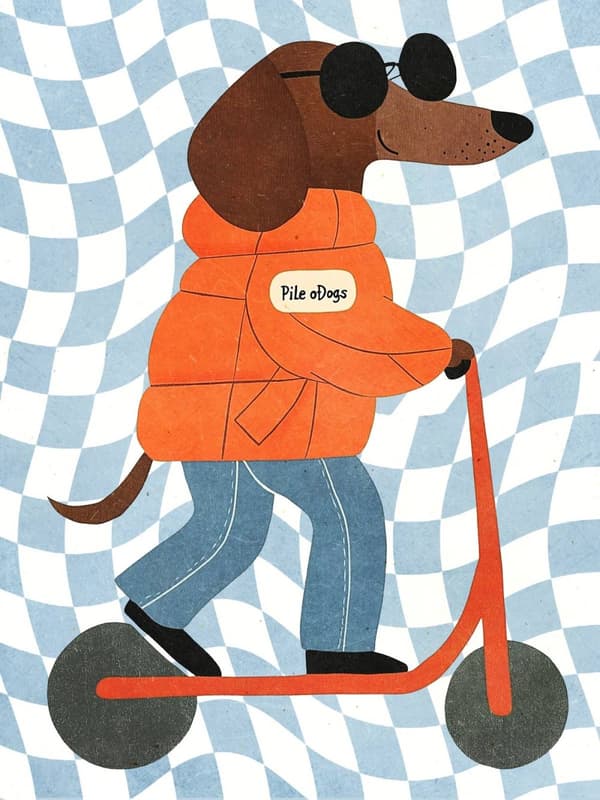 Plakat - Hund på Scooter