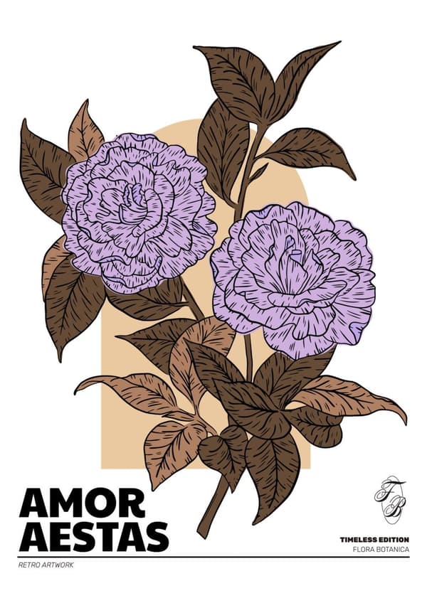 Poster - Amor Aestas