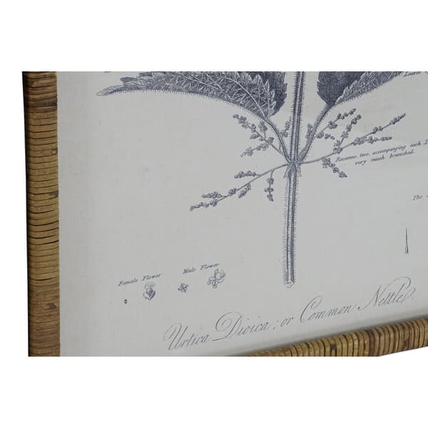 Maalaus DKD Home Decor Moderni Kasvitieteelliset kasvit 50 x 2,5 x 70 cm (8 osaa)