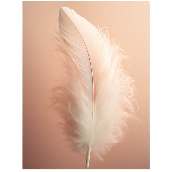 Feather Feather, 40x50 cm, sort aluminiumsramme, 230 gsm mat papir