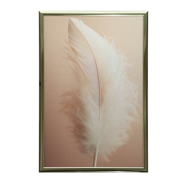 Feather Feather, 40x50 cm, sort aluminiumsramme, 230 gsm mat papir