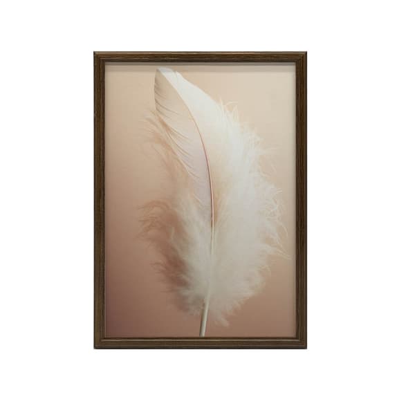 Feather Feather, 40x50 cm, sort aluminiumsramme, 230 gsm mat papir