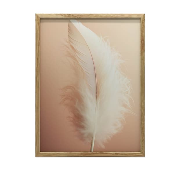 Feather Feather, 40x50 cm, sort aluminiumsramme, 230 gsm mat papir
