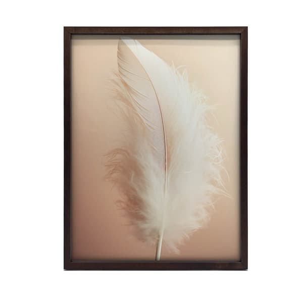 Feather Feather, 50x70 cm, lys egetræsramme, 230 gsm mat papir