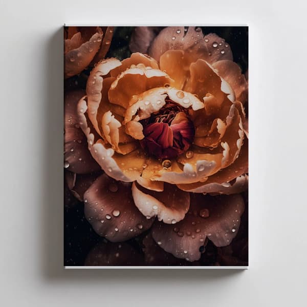 Orange Peony Orange Peony, 40x50 cm, uindrammet, 230 gsm mat papir