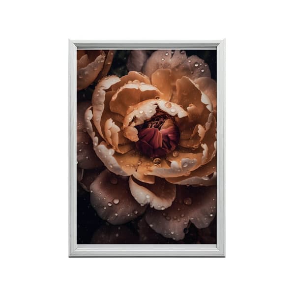 Orange Peony Orange Peony, 40x50 cm, uindrammet, 230 gsm mat papir