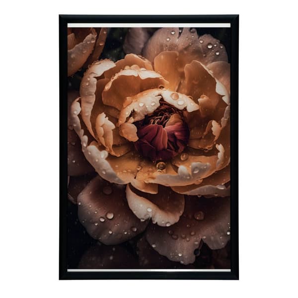Orange Peony Orange Peony, 40x50 cm, uindrammet, 230 gsm mat papir