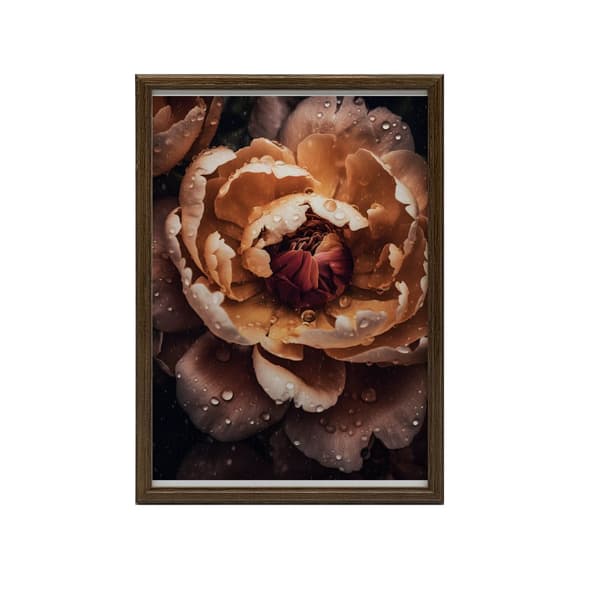 Orange Peony Orange Peony, 40x50 cm, uindrammet, 230 gsm mat papir