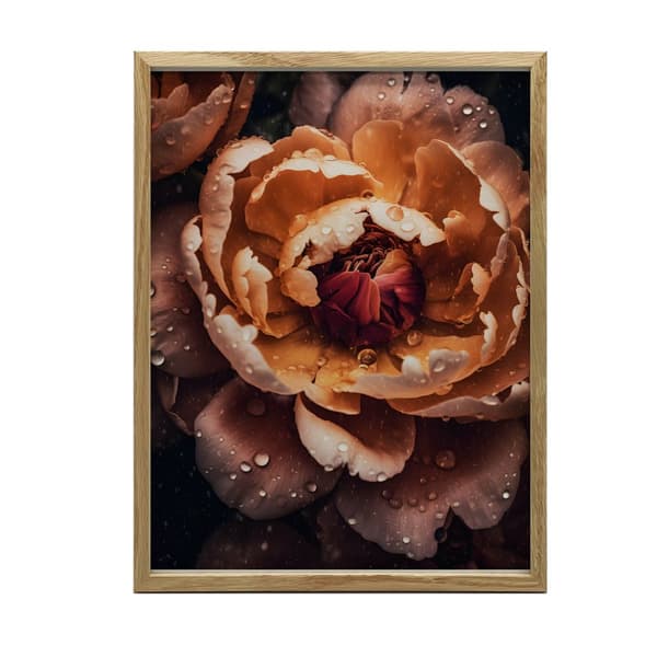 Orange Peony Orange Peony, 40x50 cm, uindrammet, 230 gsm mat papir