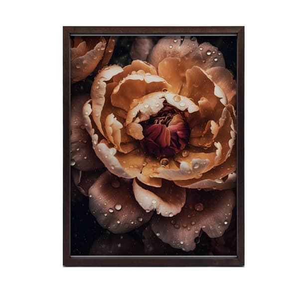 Orange Peony Orange Peony, 40x50 cm, guld aluminiumsramme, 230 gsm mat papir