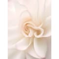 Miniatyrbild 3 av 10: Ethereal White Rose Ethereal White Rose, 60x90 cm, oinramad, 230 gsm matt papper