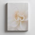 Miniatyrbild 4 av 10: Ethereal White Rose Ethereal White Rose, 60x90 cm, oinramad, 230 gsm matt papper