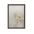 Miniatyrbild 8 av 10: Ethereal White Rose Ethereal White Rose, 60x90 cm, oinramad, 230 gsm matt papper