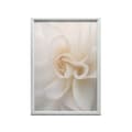 Miniatyrbild 9 av 10: Ethereal White Rose Ethereal White Rose, 60x90 cm, oinramad, 230 gsm matt papper