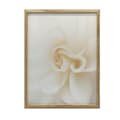 Miniatyrbild 1 av 10: Ethereal White Rose Ethereal White Rose, 60x90 cm, oinramad, 230 gsm matt papper