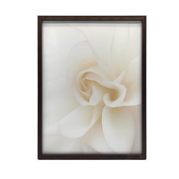 Ethereal White Rose Ethereal White Rose, 40x50 cm, musta alumiinirunko, 230 gsm mattapaperi