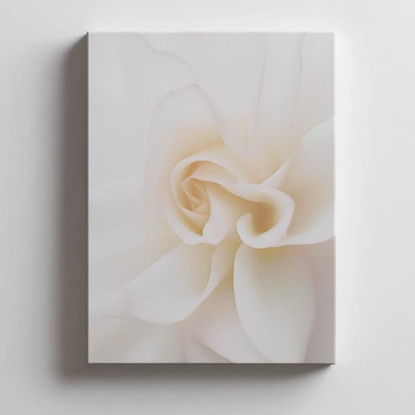 Ethereal White Rose Ethereal White Rose, 70x100 cm, lys egetræsramme, 230 gsm mat papir