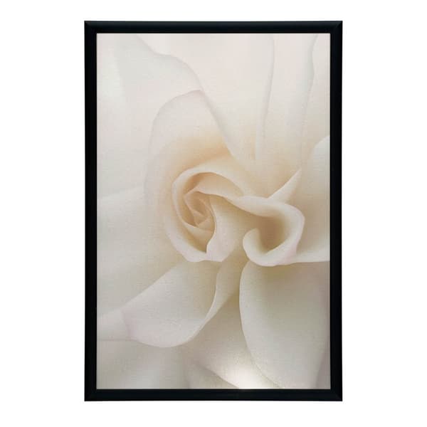 Ethereal White Rose Ethereal White Rose, 70x100 cm, lys egetræsramme, 230 gsm mat papir