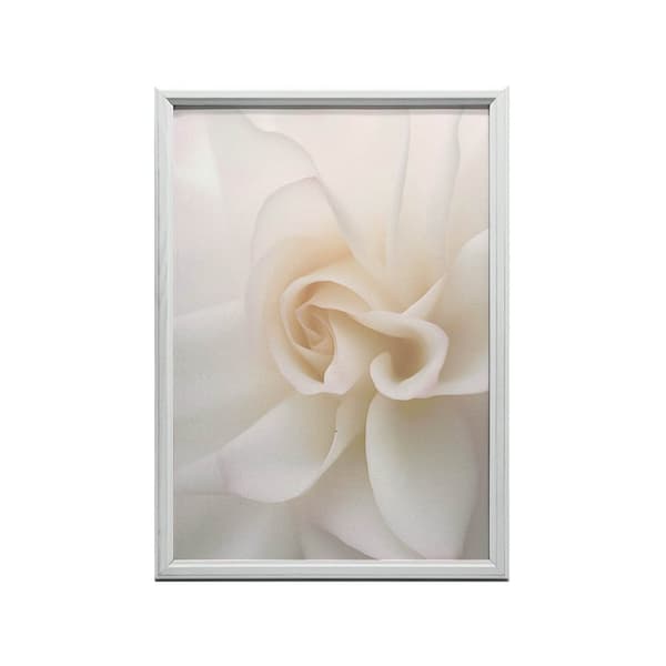 Ethereal White Rose Ethereal White Rose, 70x100 cm, lys egetræsramme, 230 gsm mat papir