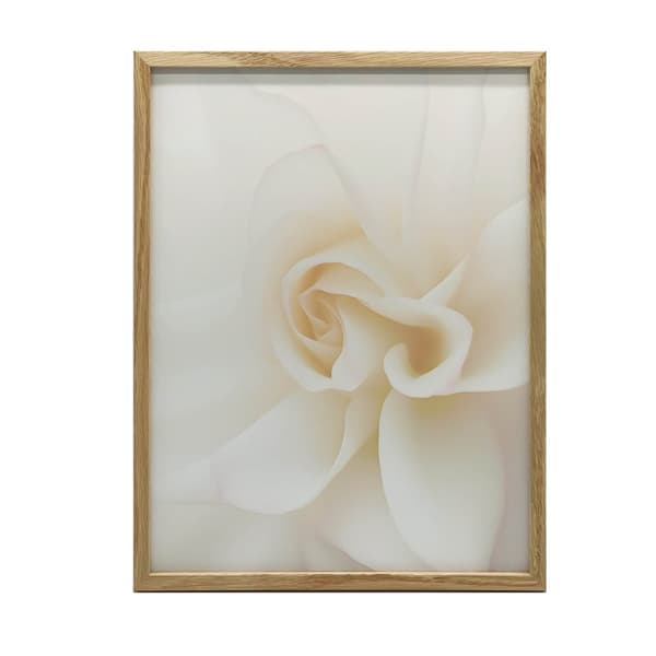 Ethereal White Rose Ethereal White Rose, 70x100 cm, lys egetræsramme, 230 gsm mat papir