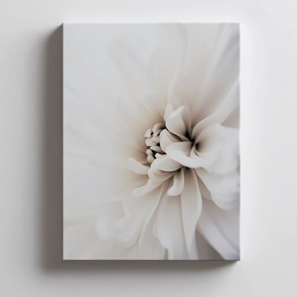 Delicate White Dahlia Delicate White Dahlia, 30x40 cm, mörkbrun träram, 230 gsm matt papper