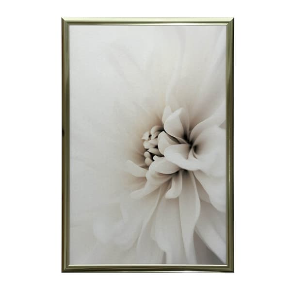 Delicate White Dahlia Delicate White Dahlia, 30x40 cm, mörkbrun träram, 230 gsm matt papper