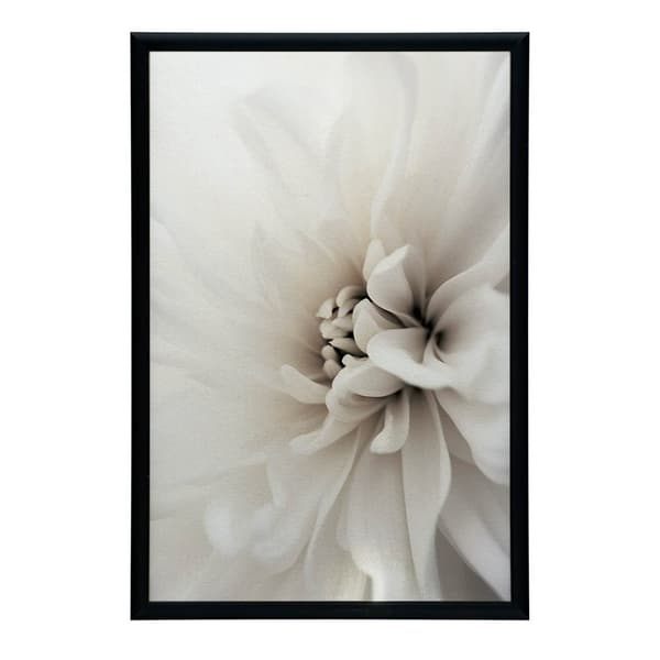 Delicate White Dahlia Delicate White Dahlia, 30x40 cm, mörkbrun träram, 230 gsm matt papper